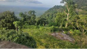 Topslip Anamalai Tiger Reserve Tourism